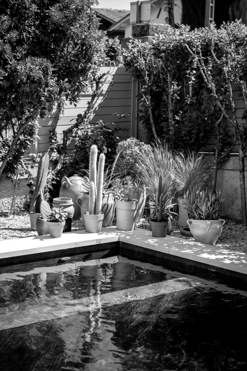 Bassin sombre bordé de poteries en terre cuite et cactus — Maison Lehmann